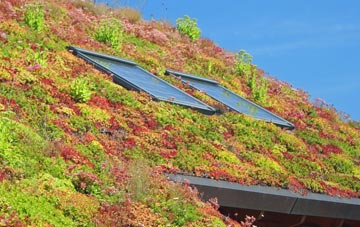 Guilden Morden living roof systems